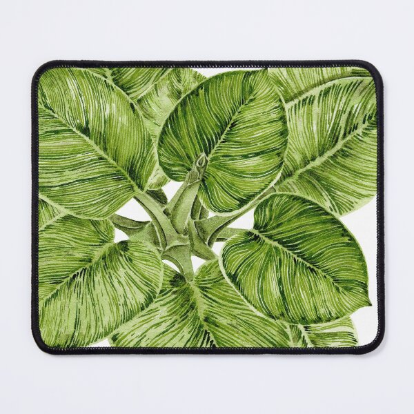 Item preview, Philodendron birkin designed and sold by PetitMartin.