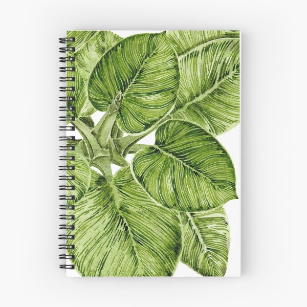 Item preview, Philodendron birkin designed and sold by PetitMartin.