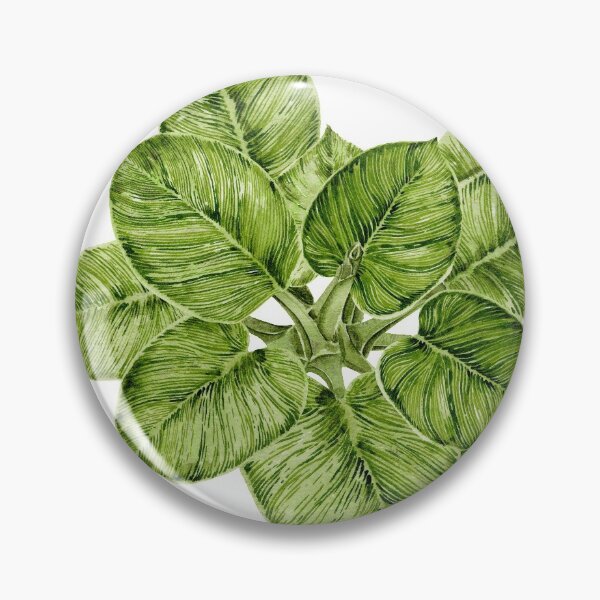 Item preview, Philodendron birkin designed and sold by PetitMartin.
