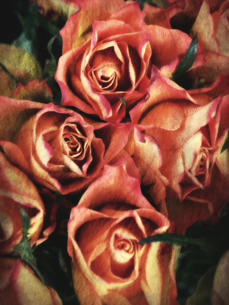 Thumbnail 4 of 4, iPhone Case, Four Roses designed and sold by Alexandra Lavizzari.