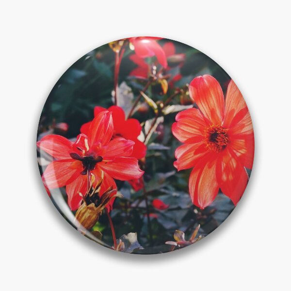 Item preview, Red dahlias  designed and sold by CarolinaReina.