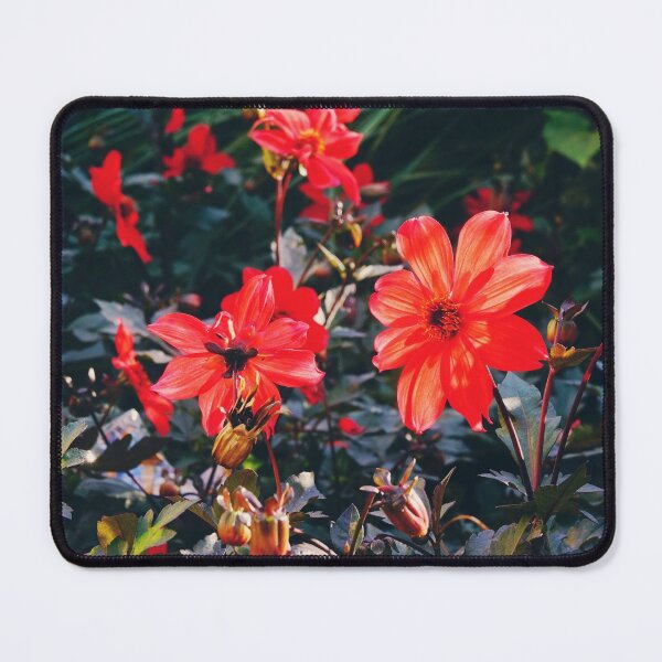Item preview, Red dahlias  designed and sold by CarolinaReina.