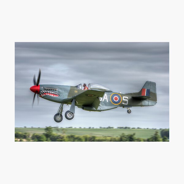 North American Mustang Photographic Print