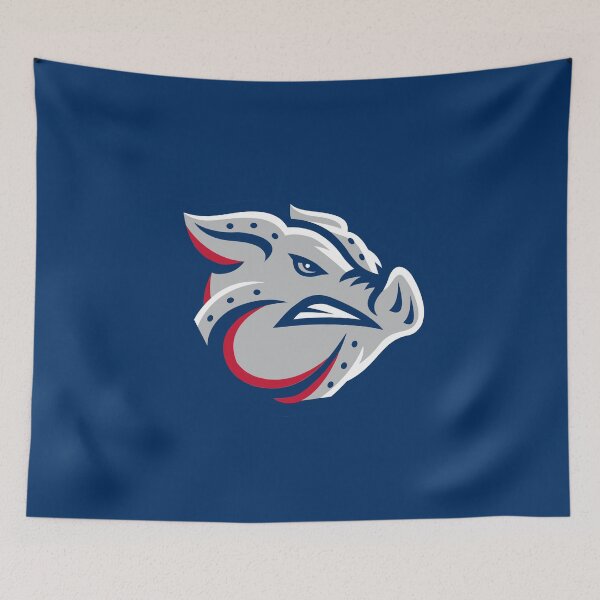 Item preview, Cool Lehigh Valley IronPigs Icon designed and sold by adamdesign49.