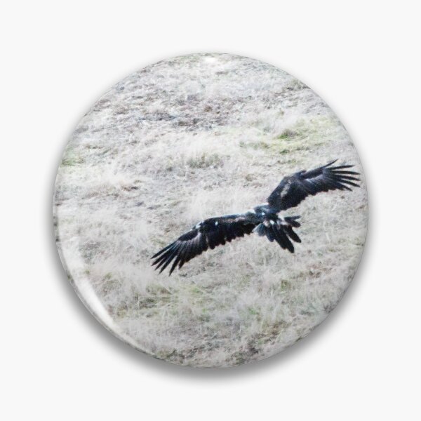 Artikelvorschau, Wedge Tailed Eagle entworfen und verkauft von imaginethis.