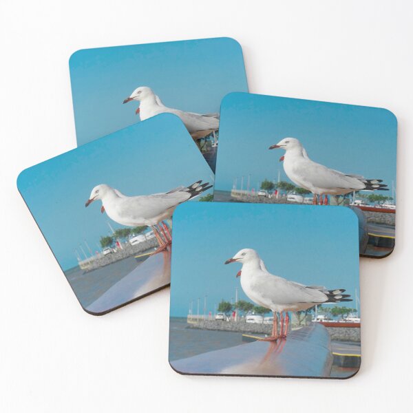 Item preview, Seagull standing  designed and sold by MichaelE2706.