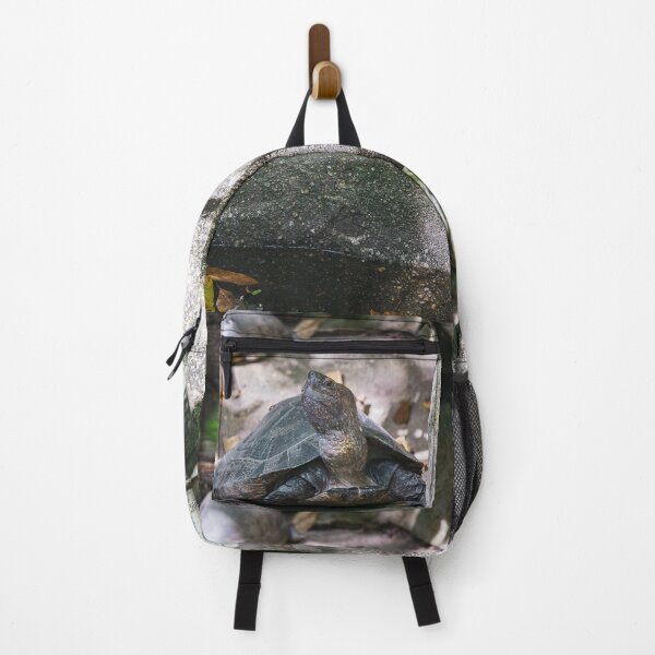 Item preview, Tortoises resting on the stones near the pond. designed and sold by ellinnur.