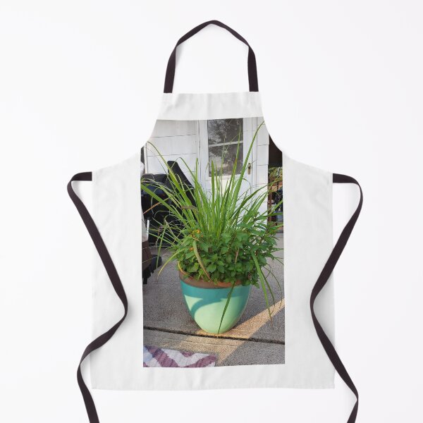 Item preview, Potted plants designed and sold by ThornsnBerry.