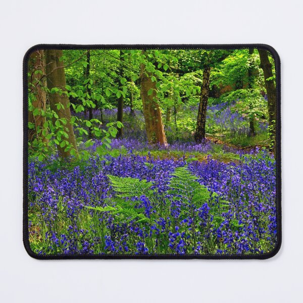 Item preview, English Bluebells in Woodland designed and sold by Martyn R Arnold Fine Art Nature & Landscape Photography.