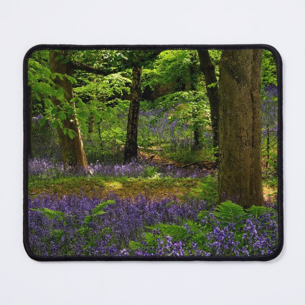 Item preview, English Bluebell Woodland designed and sold by Martyn R Arnold Fine Art Nature & Landscape Photography.
