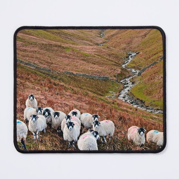 Item preview, Swaledale Sheep in Weardale designed and sold by Martyn R Arnold Fine Art Nature & Landscape Photography.