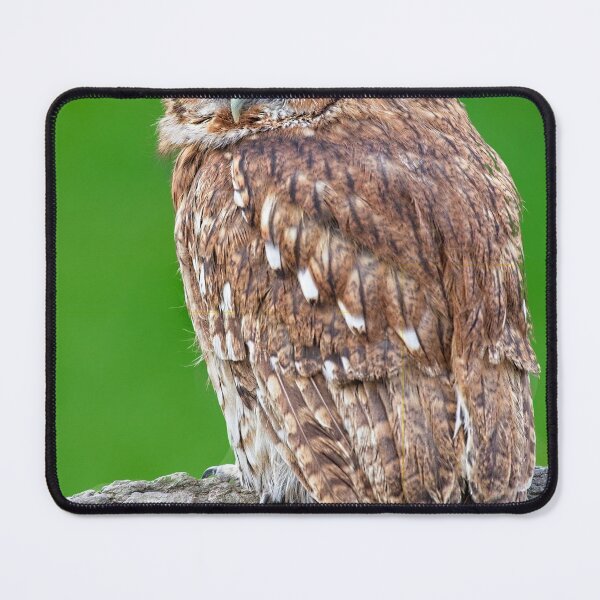 Item preview, Tawny Owl designed and sold by Martyn R Arnold Fine Art Nature & Landscape Photography.