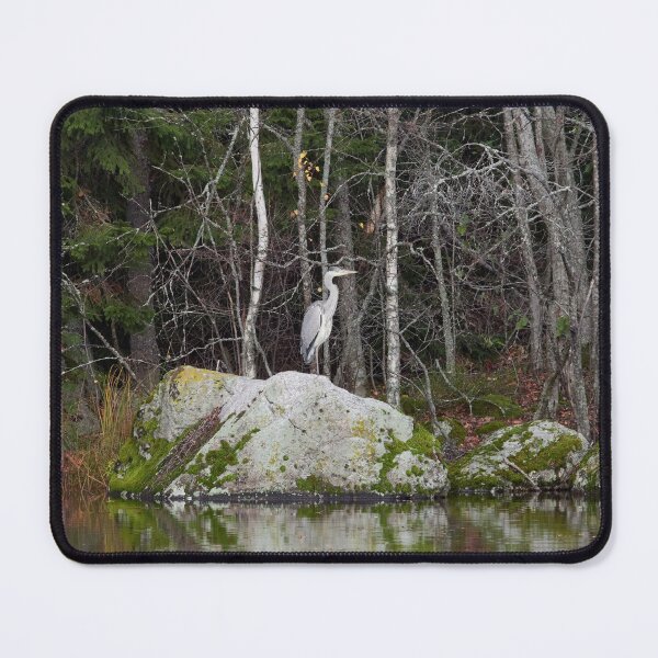 Item preview, The Favorite place. Grey heron designed and sold by Jouko Lehto Photography.
