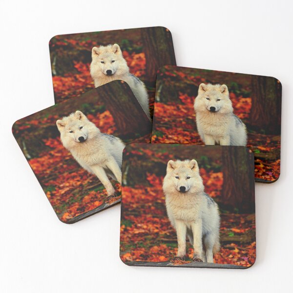 Item preview, Arctic wolf photo with high resolution quality designed and sold by Allyouneed-2.