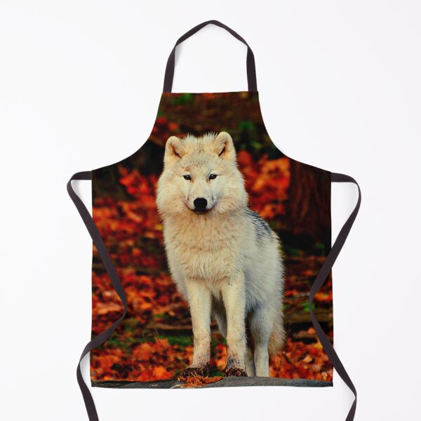 Item preview, Arctic wolf photo with high resolution quality designed and sold by Allyouneed-2.