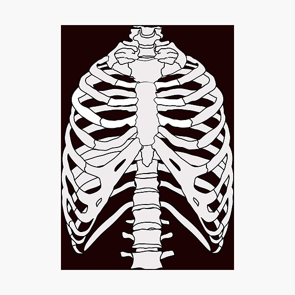 anatomically correct human ribcage TShirt for Biology Diagrams