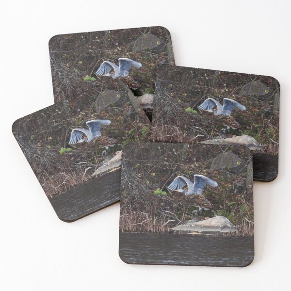 Item preview, Grey heron take off designed and sold by Jouko Lehto Photography.
