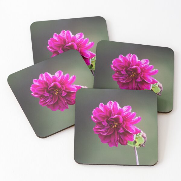 Item preview, The Purple Dahlia designed and sold by Jouko Lehto Photography.
