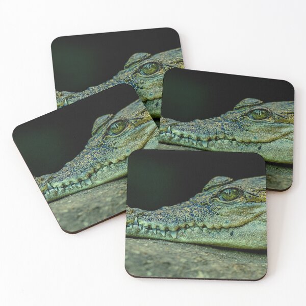 Item preview, crocodile photo with high resolution quality designed and sold by Allyouneed-2.