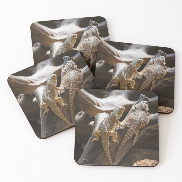Item preview, Pogona vitticeps, the central or inland bearded dragon. designed and sold by ellinnur.