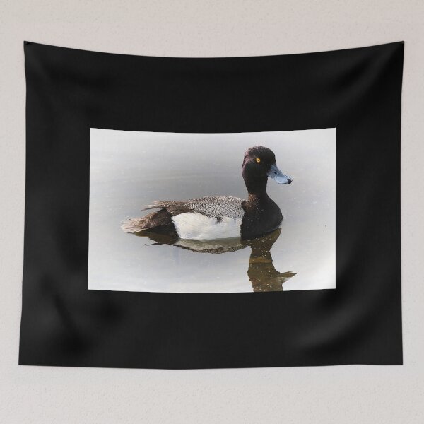 Item preview, Scaup Duck Swimming designed and sold by ADM  Photography.