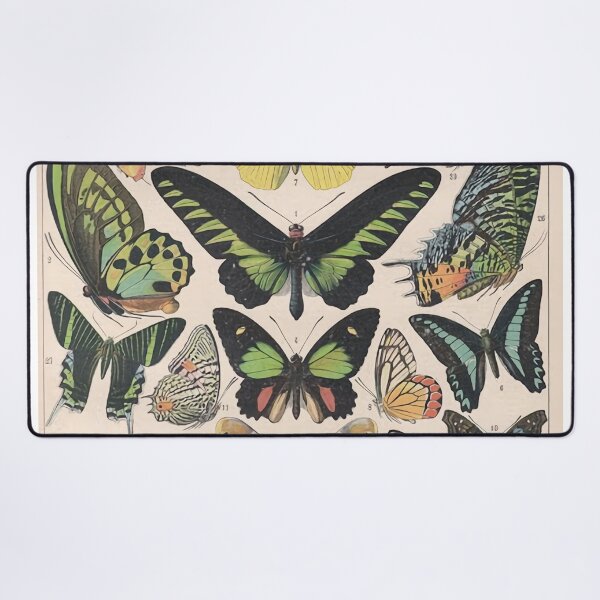 Item preview, //Adolphe Millot butterfly poster designed and sold by gregoryjwestbro.