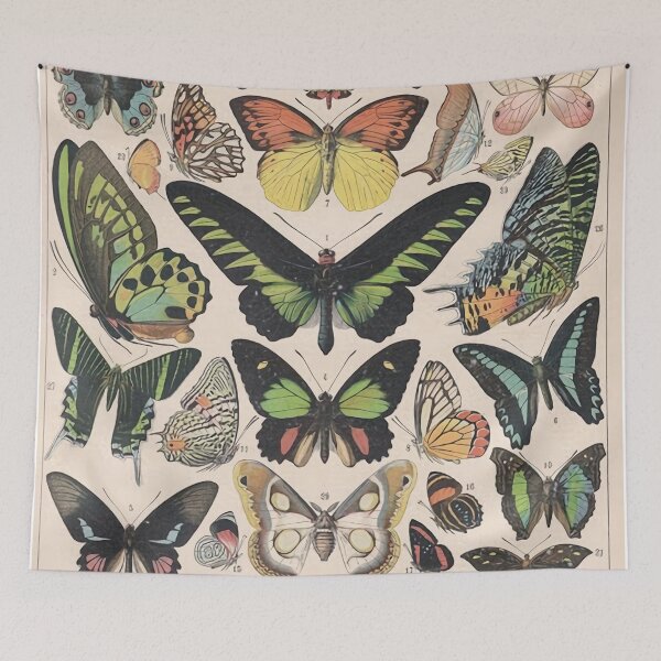Item preview, //Adolphe Millot butterfly poster designed and sold by gregoryjwestbro.