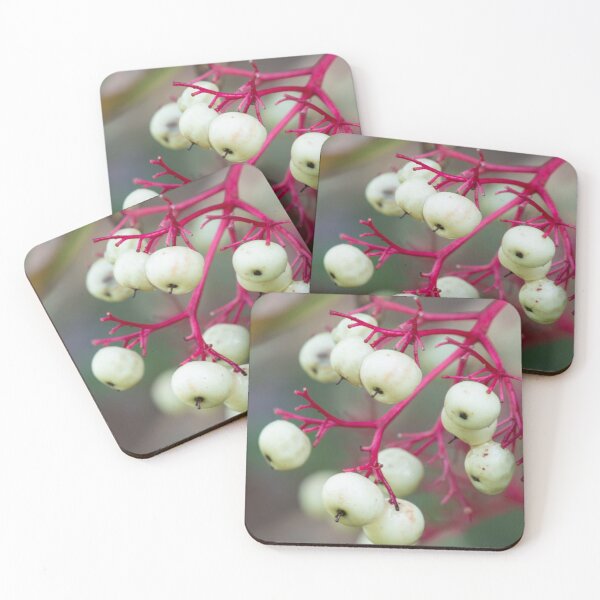 Item preview, White Dogwood Berries designed and sold by Bill Spengler's Photographic Thoughts.