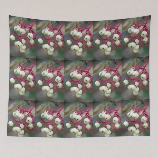 Item preview, White Dogwood Berries designed and sold by Bill Spengler's Photographic Thoughts.