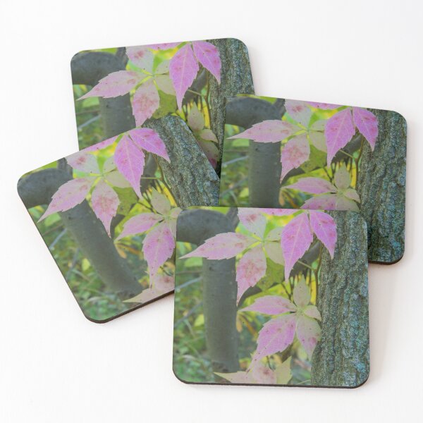 Item preview, Autumn Virgina Creeper designed and sold by Bill Spengler's Photographic Thoughts.