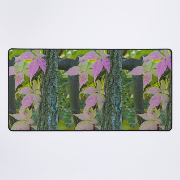 Item preview, Autumn Virgina Creeper designed and sold by Bill Spengler's Photographic Thoughts.