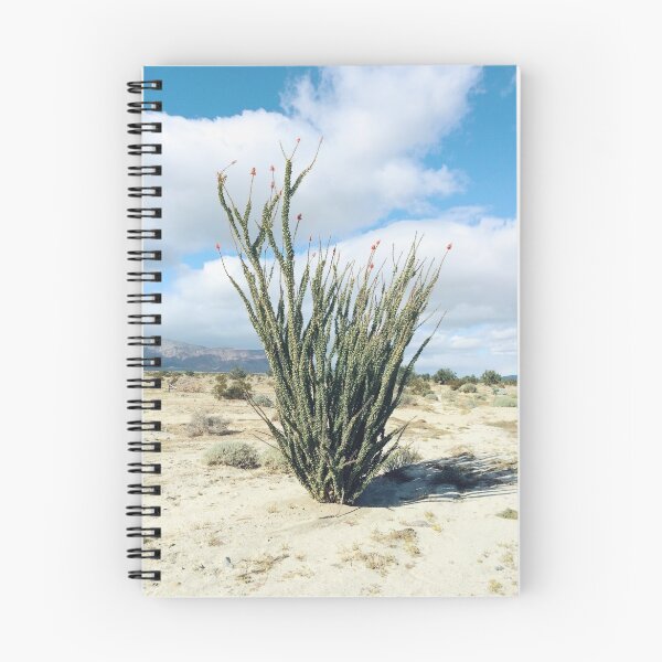 Item preview, Blooming Baja Ocotillo designed and sold by Kevin Russ.