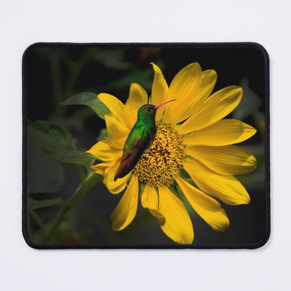 Item preview, The Sunflower Hosts Tom Thumb designed and sold by alabca.