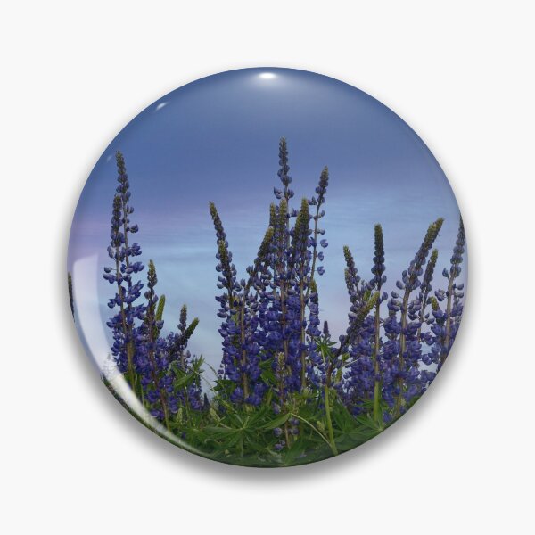 Item preview, Lupins designed and sold by Claudia-Evans.