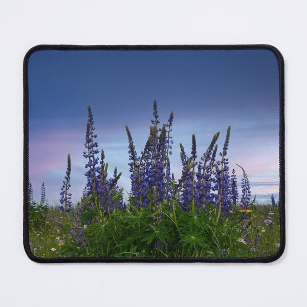 Item preview, Lupins designed and sold by Claudia-Evans.