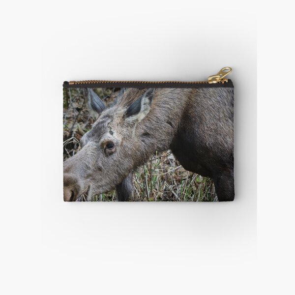 Item preview, Snack-time Moose designed and sold by ADM  Photography.