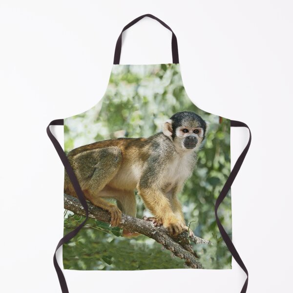 Item preview, r986 / New Finition 2021- le SAÏMIRI " attentif ! "(c)(h) Olavia-Olao Okaio Créations designed and sold by o.okaïo.