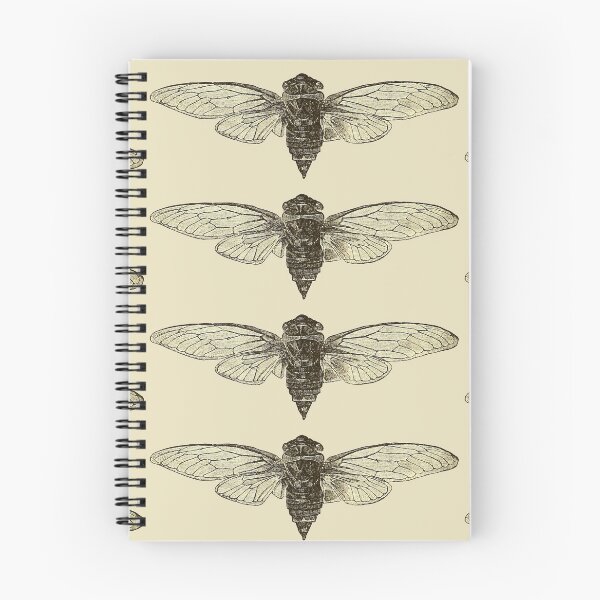 Item preview, Cicadidae designed and sold by elevens.