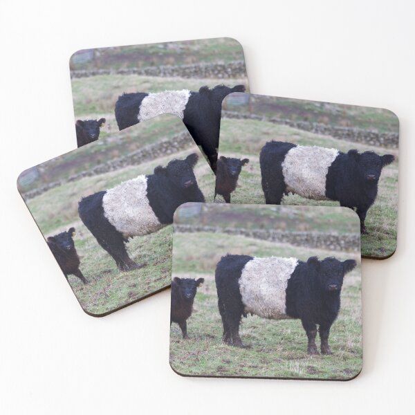 Item preview, Belted Galloway Cow and Calf designed and sold by derekbeattie.