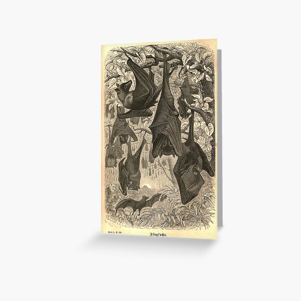 Item preview, Vintage Gothic Bat Drawing  designed and sold by limadelsol.