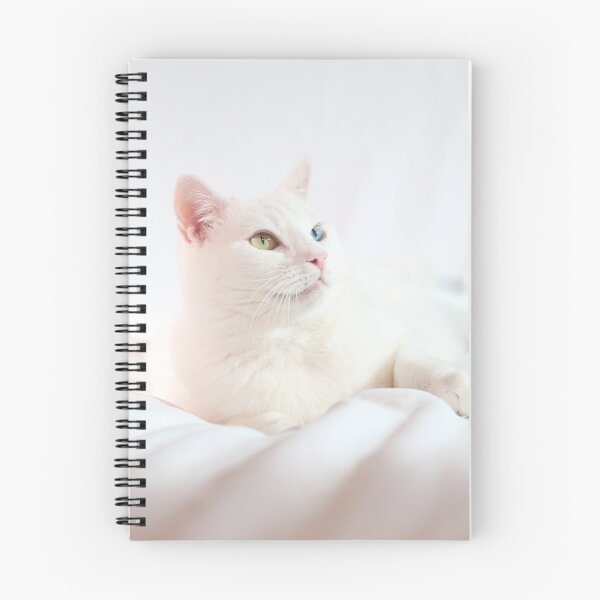 Item preview, Junior Bedsheets Card designed and sold by The  Magnificats.