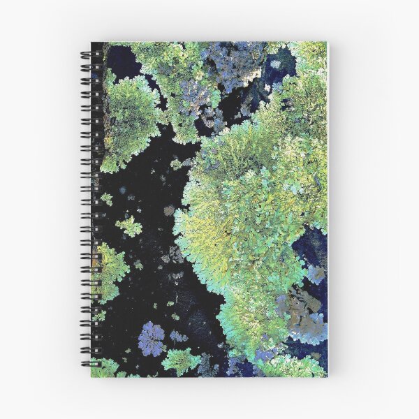 Item preview, Shield Lichens designed and sold by thedesignvine.
