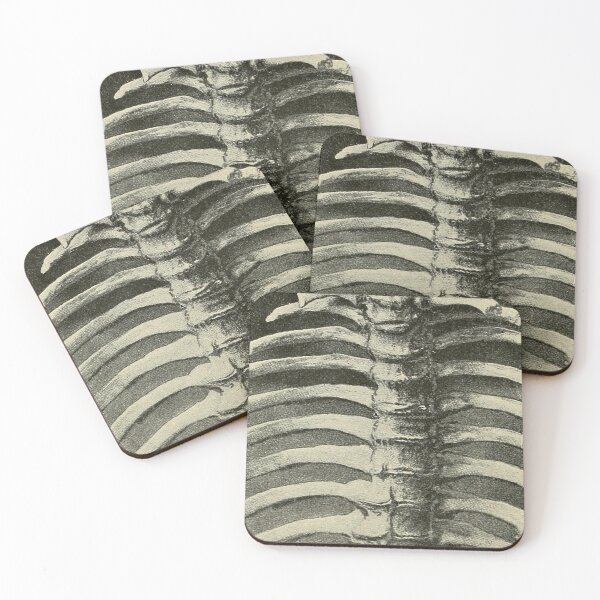 Item preview, Skeleton Ribcage  designed and sold by elevens.