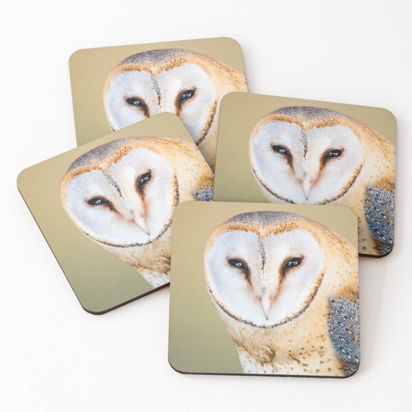 Item preview, Barn owl designed and sold by OrionPhotograph.