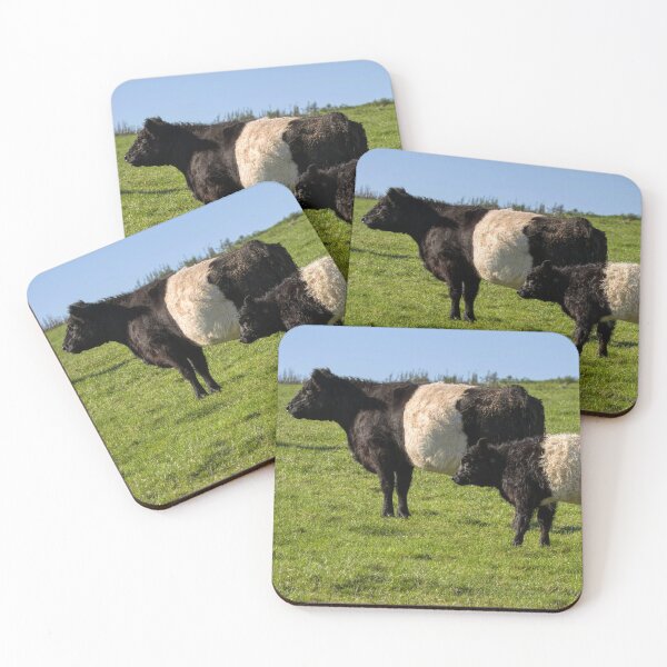 Item preview, Belted Galloway Cattle designed and sold by derekbeattie.