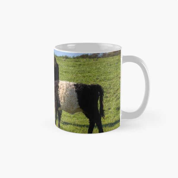 Item preview, Belted Galloway Cattle designed and sold by derekbeattie.