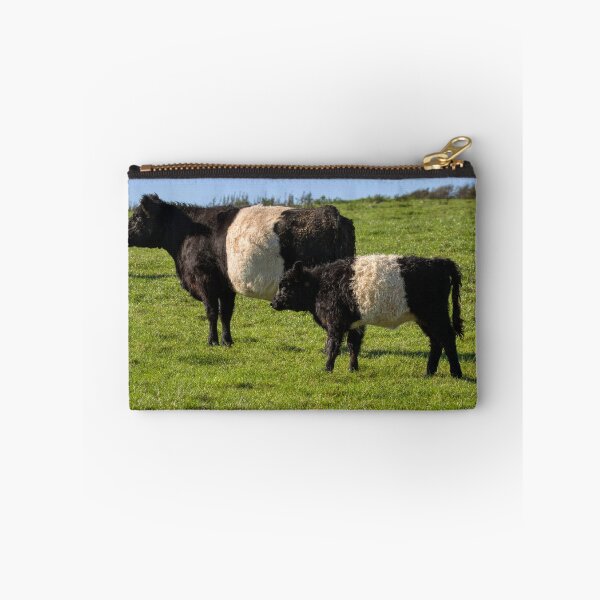 Item preview, Belted Galloway Cattle designed and sold by derekbeattie.