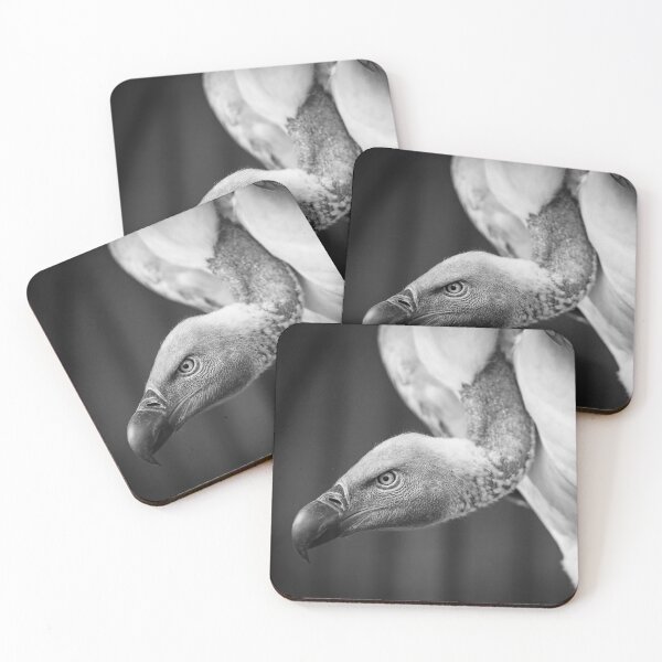 Item preview, Vulture designed and sold by OrionPhotograph.