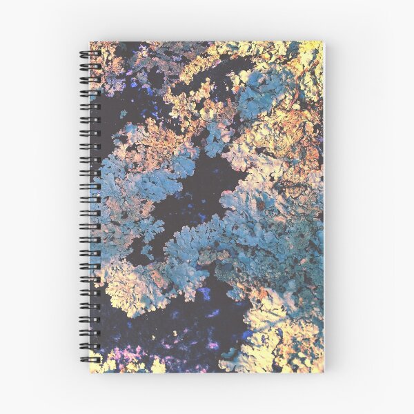 Item preview, Lichens In The Sun designed and sold by thedesignvine.