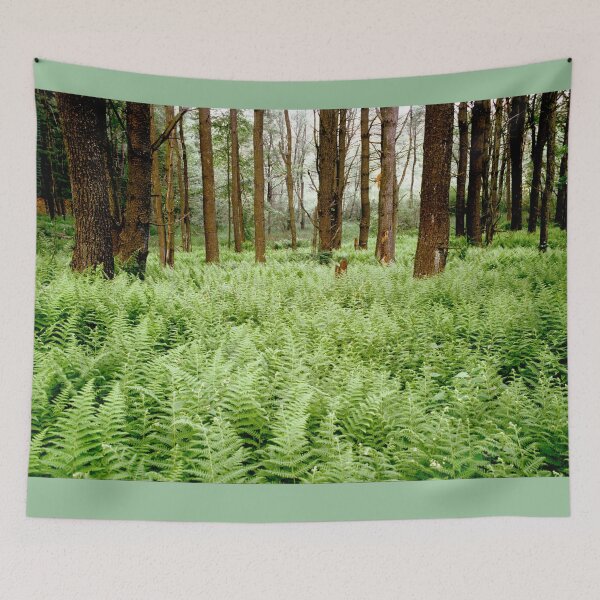 Item preview, Forest Bed of Ferns designed and sold by Duane  Gamble (Creative Photo Products).